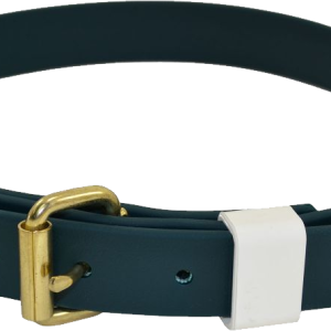 Dog collar PNG