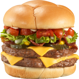 hamburger, burger PNG image