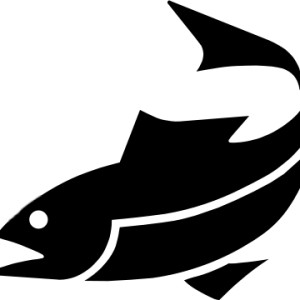 fish PNG image
