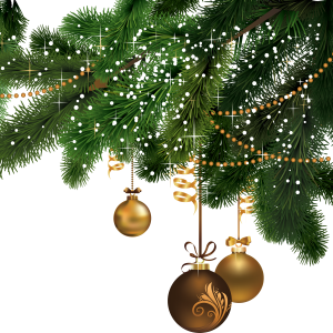 Christmas fir-tree PNG image