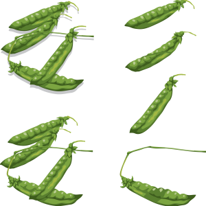 Pea PNG