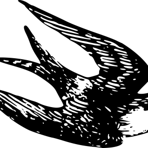 Swallow PNG