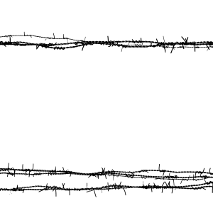 Barbwire PNG