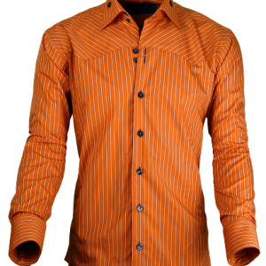 Dress shirt PNG image