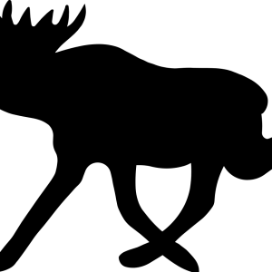 Moose, elk PNG