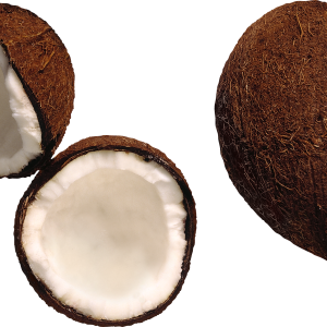 PNG Coconut