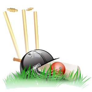 Cricket PNG