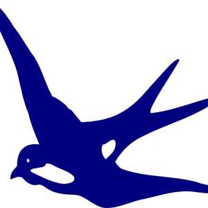 Swallow PNG
