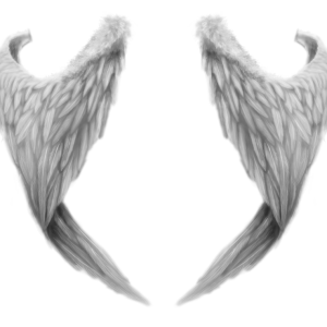White wings PNG