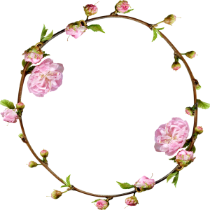 Floral frame PNG