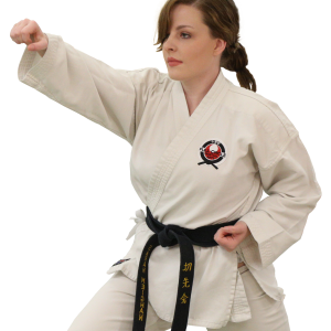 Karate PNG