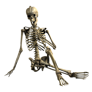 Skeleton PNG