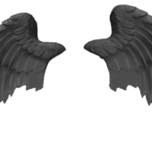 Wings PNG