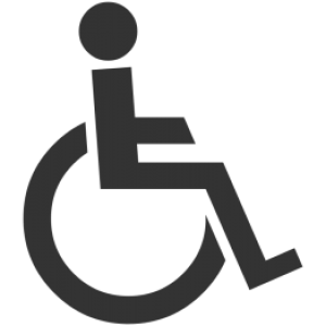 Disabled handicap symbol PNG