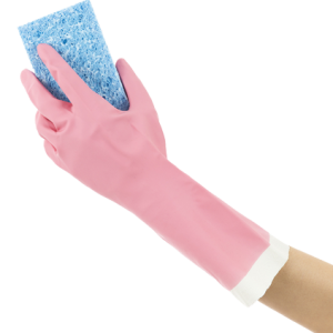 washing sponge PNG