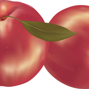 Peach PNG image