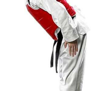 Taekwondo PNG