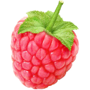 Rraspberry PNG image