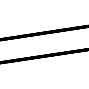 Bone PNG
