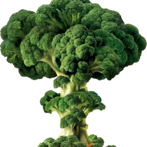 Broccoli PNG