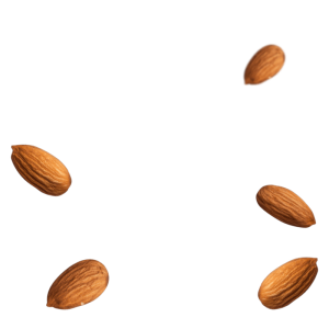 Almond PNG