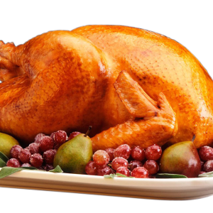 Turkey food PNG