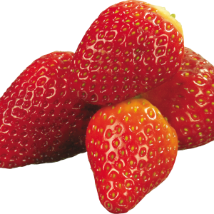 Many strawberries PNG