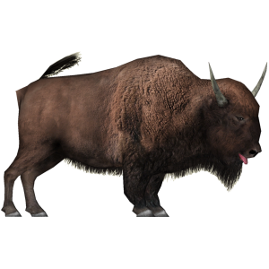 Bison PNG