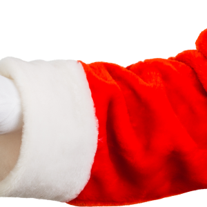 Santa Claus hand PNG