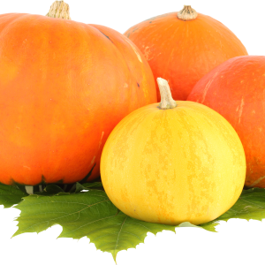 Pumpkin PNG image