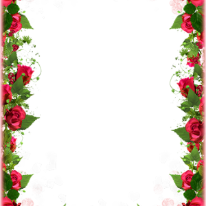 Floral frame PNG