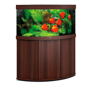 Aquarium PNG