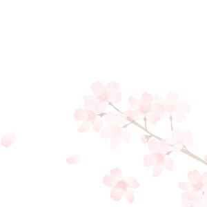 Sakura PNG