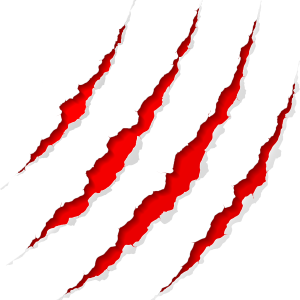 Scratches claw PNG image
