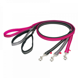 Leash PNG
