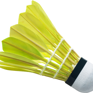 Badminton volant PNG image
