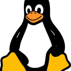 Linux logo PNG