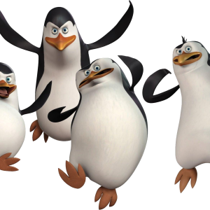 Madagascar penguins PNG