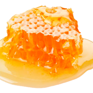 Honey PNG