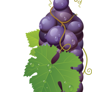 Grape PNG image