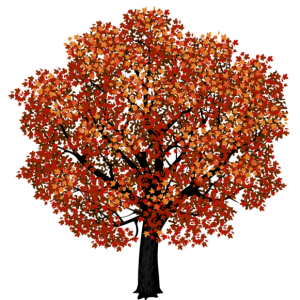 tree PNG
