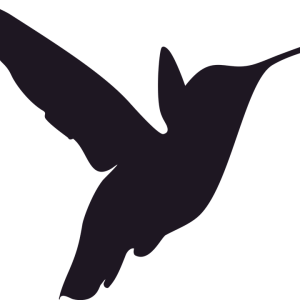 Hummingbird PNG