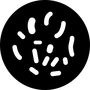 Bacteria PNG