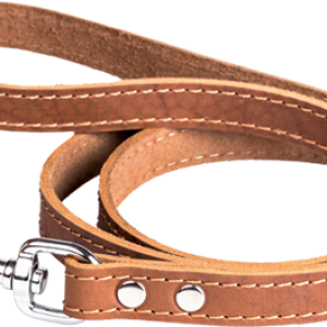 Leash PNG