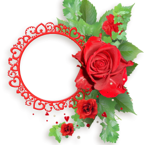 Floral frame PNG