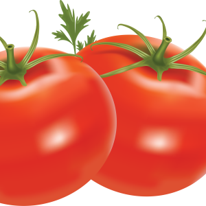 two tomatoes with leaves PNG