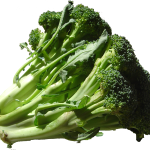 Broccoli PNG