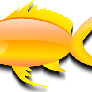 Goldfish PNG