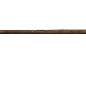 Walking stick PNG