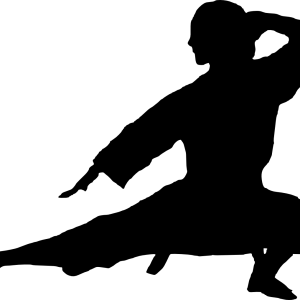 Karate PNG